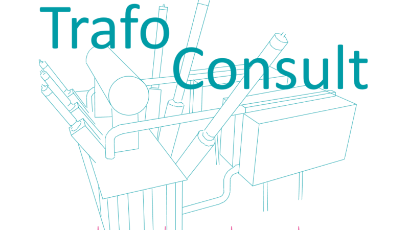 Logo TrafoConsult 02