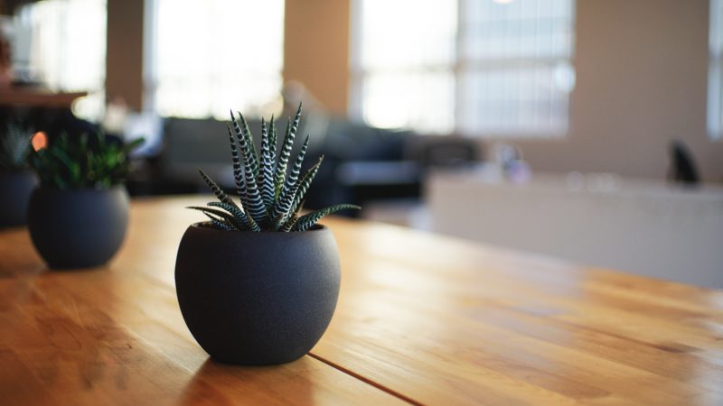 alvin-engler-bIhpiQA009k-unsplash